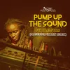 About Pump up the Sound Professor Skank Remix Song