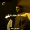 About Salmaqty Song