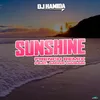 Sunshine French Remix