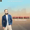 About Gallan Mehlan Waliya Song