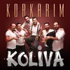 Korkarım Akustik