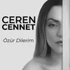 About Özür Dilerim Song