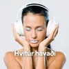 About Hvítur hávaði, Pt. 15 Song