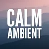 Eleven Ambience