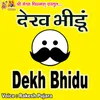 About Dekh Bhidu Galti Ho Gai Song