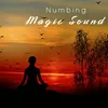 About Numbing Magic Sound Song