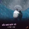 About Nếu Như Ngày Đó Song