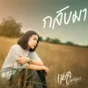 About กลับมา Song