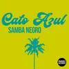 Samba Negro Dennis Lee Phunk Remix