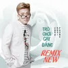 About Trò Chơi Đắng Cay Remix New Song