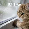 Peaceful Rain