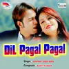 About Dil Pagal Pagal Song