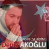 About Sen Vatansın Song