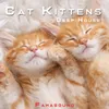 Cat Kittens Deep House