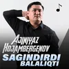 About Sagindirdi balaliqti Song