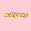 About Numpang? Song
