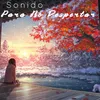 About Sonido Para No Despertar Song