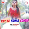 About Hay Re Hamar Sonwa Song