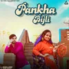 About Pankha Bijli Song