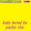 About Kalo Beral Ke Pushe Che Song