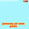 About Jamunay Jol Ante Jache Song