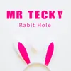 Rabit Hole