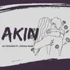 About Akin Song