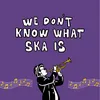 About We Don't Know What Ska Is Song