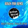 About Bukan Pho Remix Song
