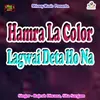 About Hamra La Color Lagwai Deta Ho Na Song