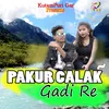 Pakur Calak Gadi Re