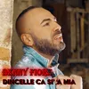 About Dincelle ca si' 'a mia Song