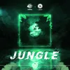 About Jungle Song
