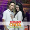 About Bidadari Cinta Song