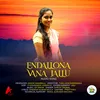 Endallona Vana Jallula Telugu Folk Song