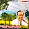 About Kali Kalpataru Song