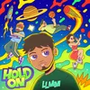 About Hold on Song
