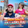 About Meri Gali Ki Ak Larki Hai Song