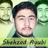 About Shahzad Ayyubi New Song Song