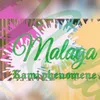 About Malaga Song