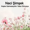 About Keşke Gelmeseydim Yalan Dünyaya Song