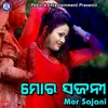 Ekla Nain Bazar Buli Jibu