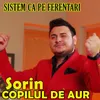 Sistem ca pe Ferentari