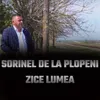 About Zice lumea Song