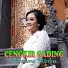 About Cengkir Gading Song