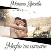 About Meglio 'na canzone Song
