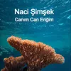 About Canım Can Eriğim Song