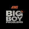 About Big Boy Problems Song