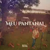 About Meu Pantanal Song