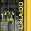 About Catch A Vibe Song